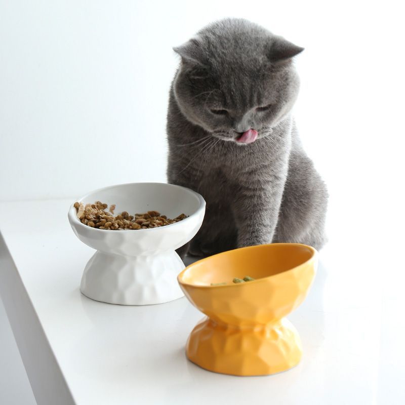 Wholesale Ceramic Solid Color Pet Bowls Cat Dog Bowls Feeder